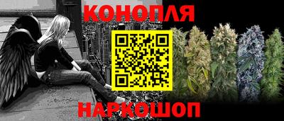 apvp Можга