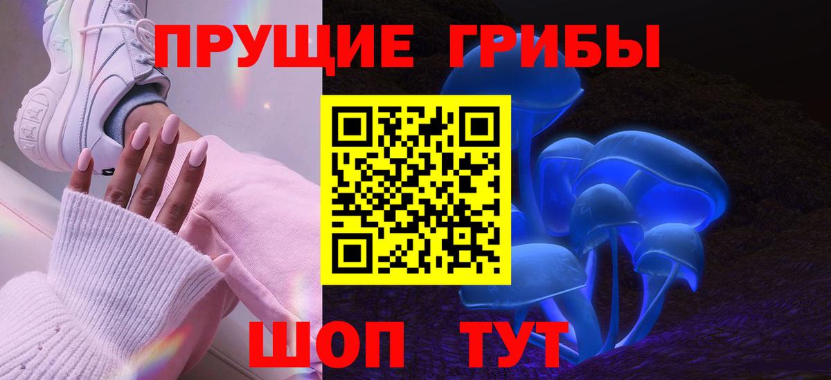 Галлюциногенные грибы MAGIC MUSHROOMS  Вход с VPN  Ульяновск  Галлюциногенные грибы прущие грибы 